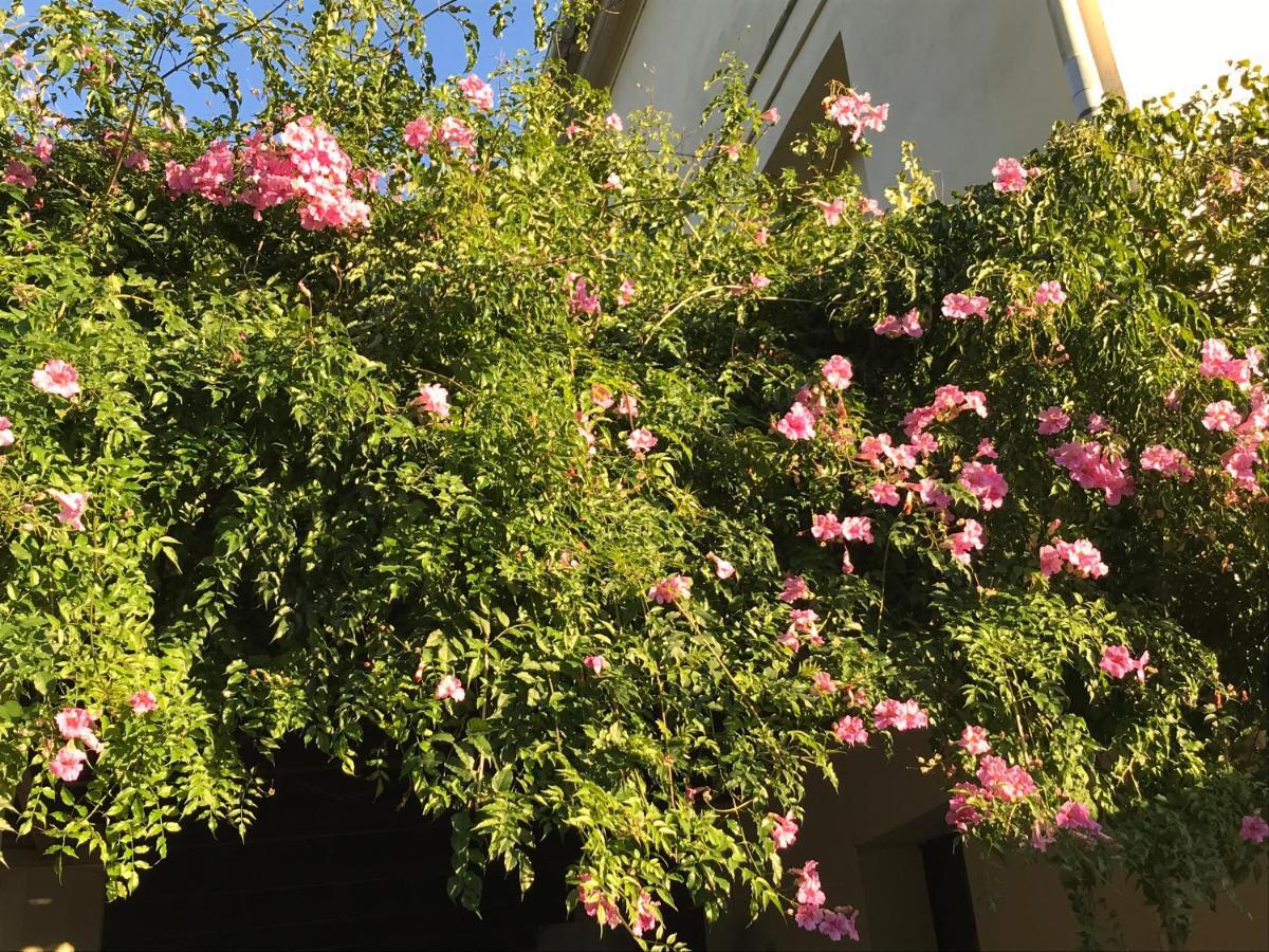 Appartement Elsa Valencia Exterior foto
